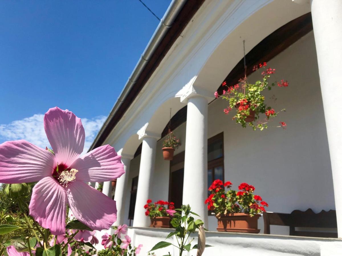 Heni Vendeghaza Hotel Vadna Exterior photo